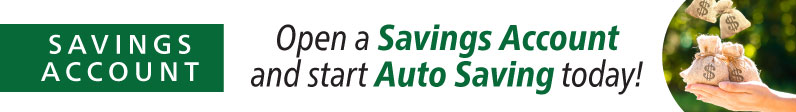 Open a savings account and start auto saving today.